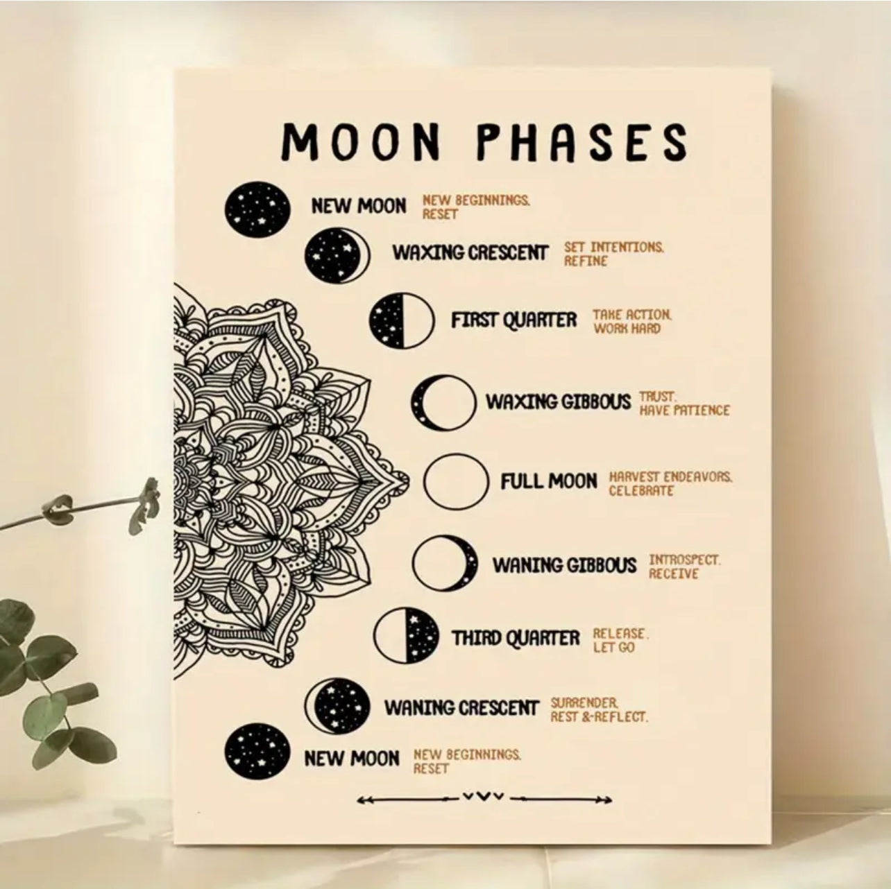 Mandala Moon Phases - Vintage Wall Art